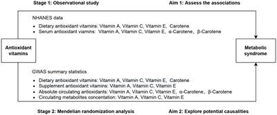 Association of dietary and circulating antioxidant vitamins with metabolic syndrome: an observational and Mendelian randomization study